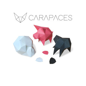 CARAPACES - Rose Jeu de société CARAPACES - Rose