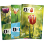 Jeu de société Frosted Blooms